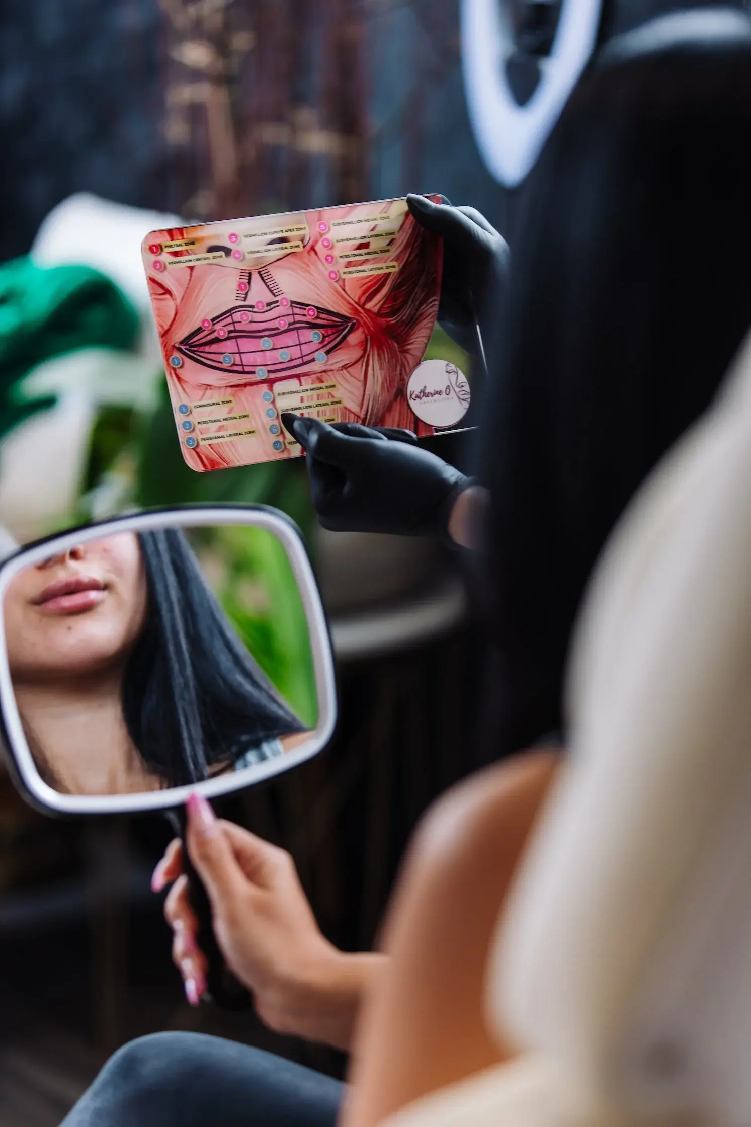 Katherine showing a patient a facial anatomy chart while the patient holds a mirror